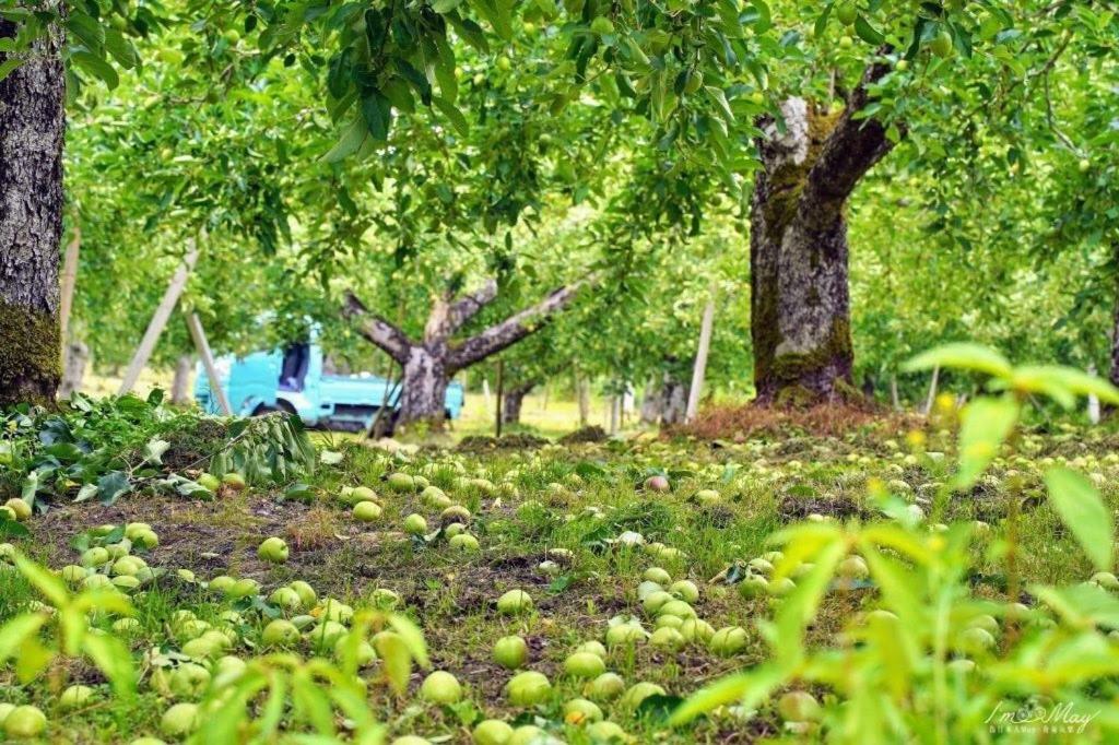 Daichan Farm Guest House Asahi  Εξωτερικό φωτογραφία